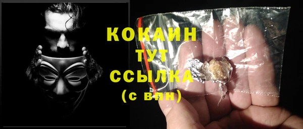 PSILOCYBIN Богданович