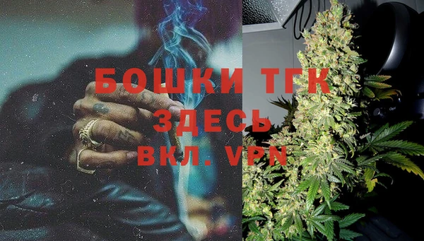 PSILOCYBIN Богданович