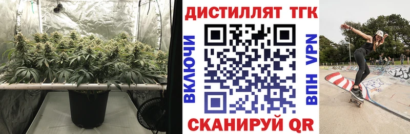 Купить закладки  Бузулук  ТГК жижа 